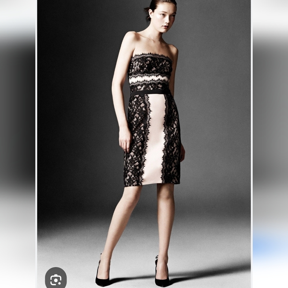 TADASHI SHOJI SHEATH LACE STRAPLE DRESS BLACK & NUDE TONE SIZE 2 - Picture 1 of 13